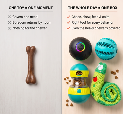 MadPuppy Boredom-Buster Happy Box by Madjoo™